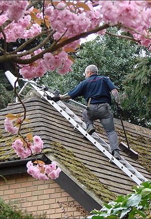 Our staff cleaning the moss from a roof in Southbourne near Bournemouth